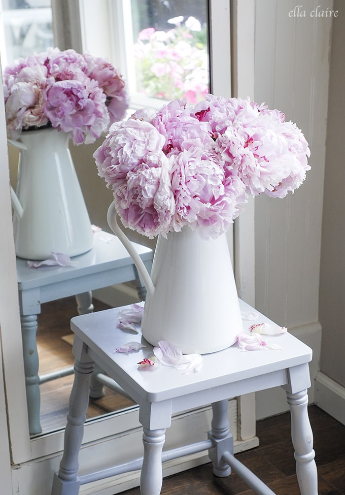 peonies and pretty vignettes