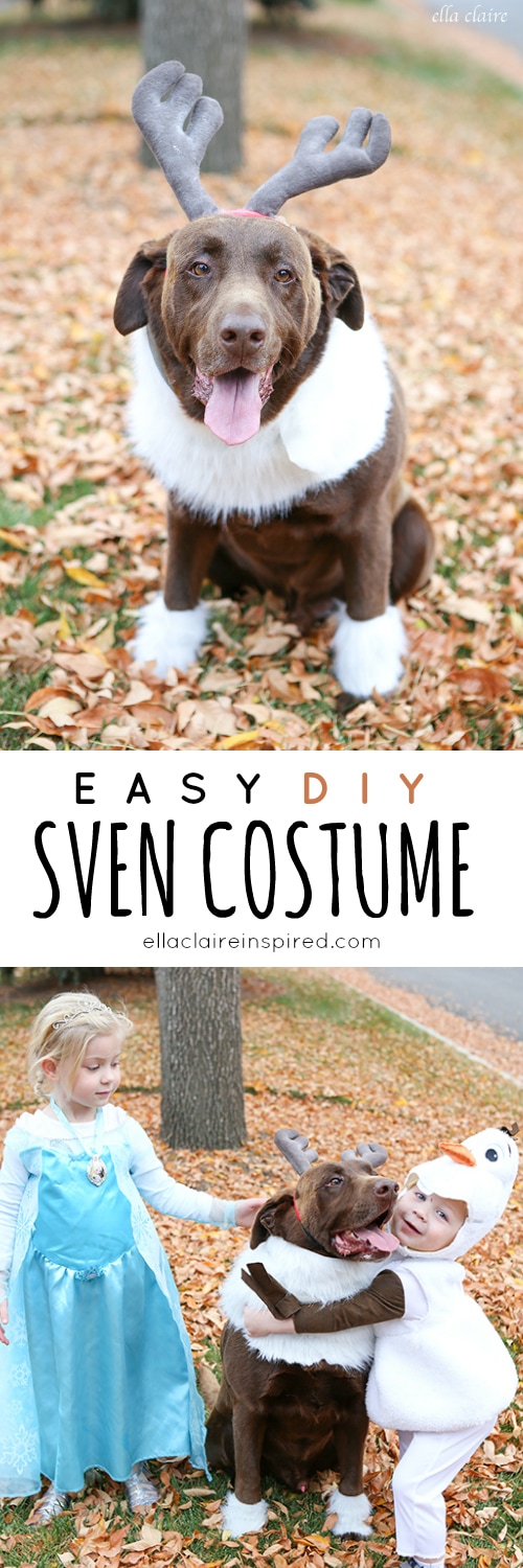 Easy DIY Sven Costume for a Dog