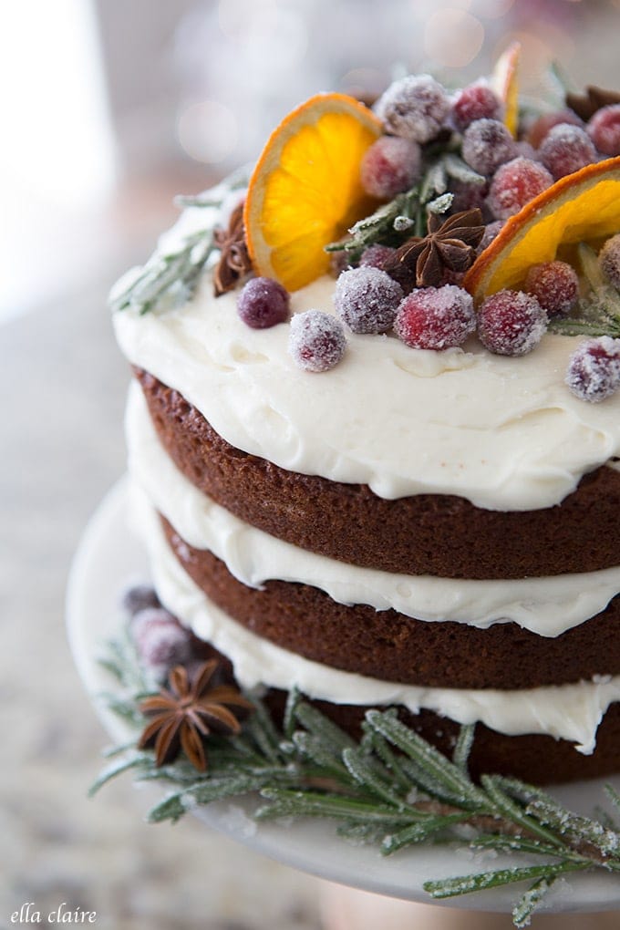 Gingerbread cake with dried oranges, sugared cranberries, star anise and sugared rosemary.