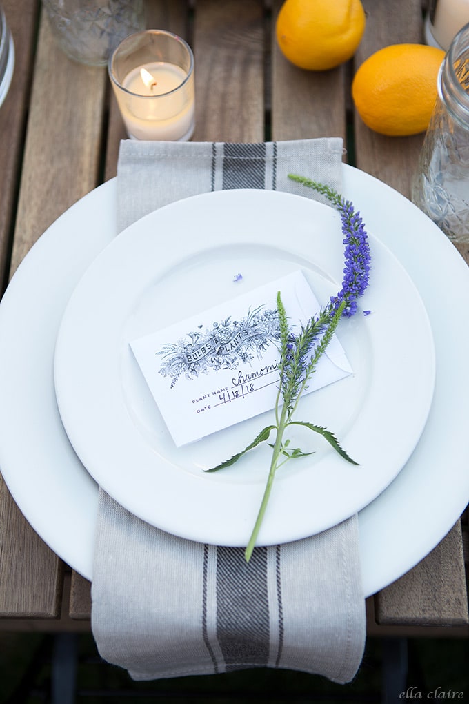 Free printable seed packet and sweet flower stem at each place setting