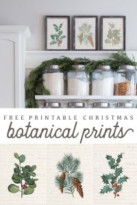 Free Printable Vintage Christmas Botanicals - Ella Claire &amp; Co.