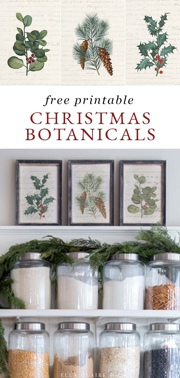 Free Printable Vintage Christmas Botanicals - Ella Claire &amp; Co.