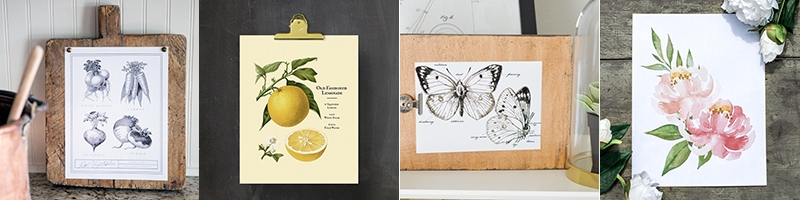 An assortment of various printable art (vegetables, lemons, butterflies and large pink flowers)