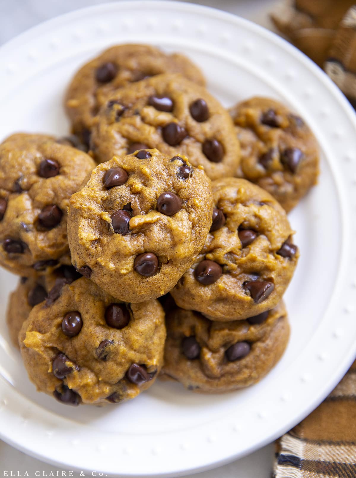 pumpkin cookies loaded with chocolate chips