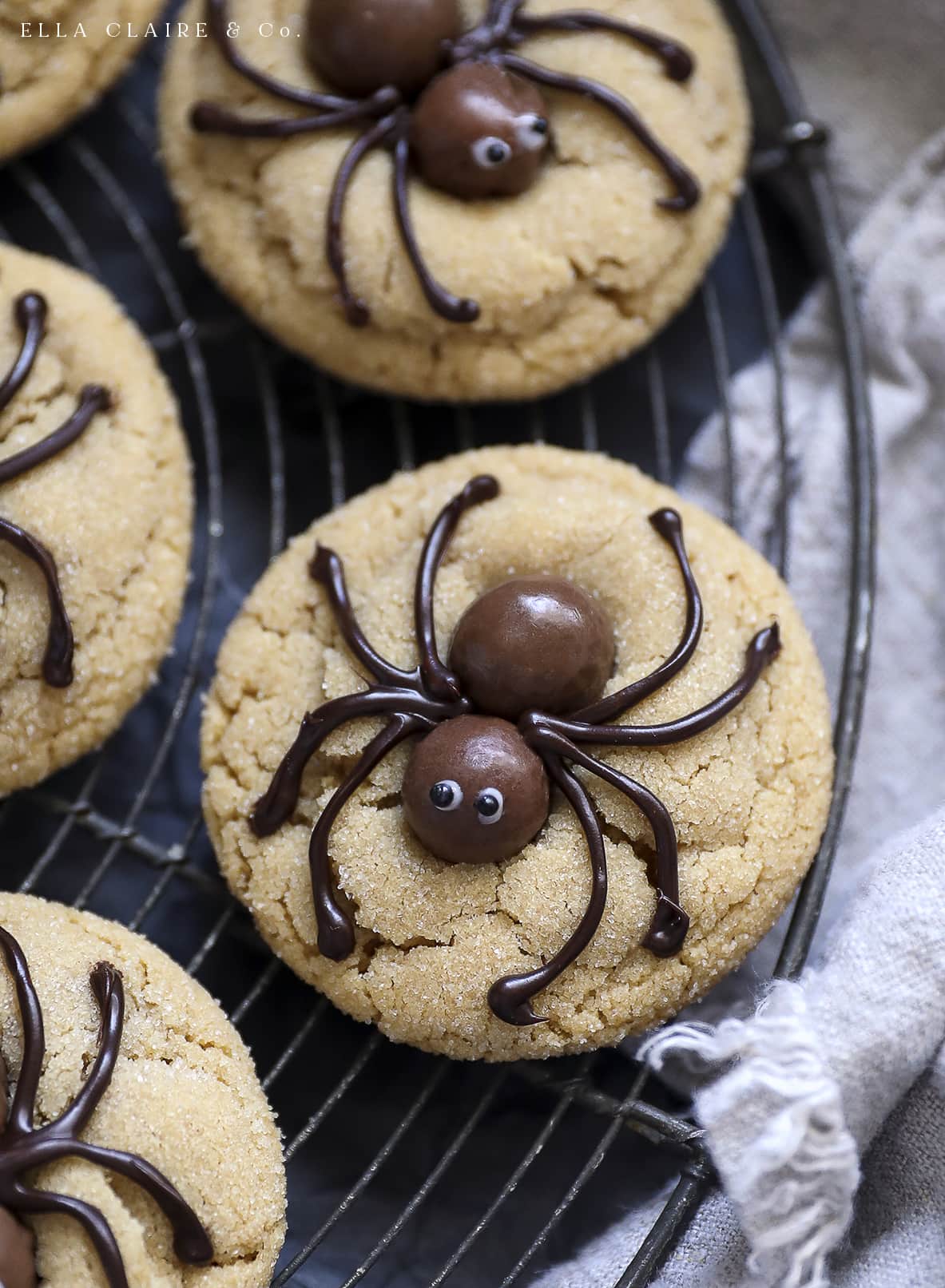 close up of peanut butter spider cookie